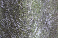 Threemiletown fibreglass roof work